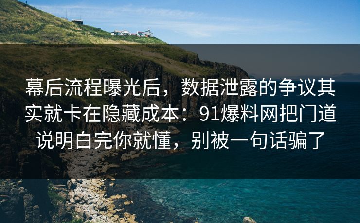 幕后流程曝光后，数据泄露的争议其实就卡在隐藏成本：91爆料网把门道说明白完你就懂，别被一句话骗了