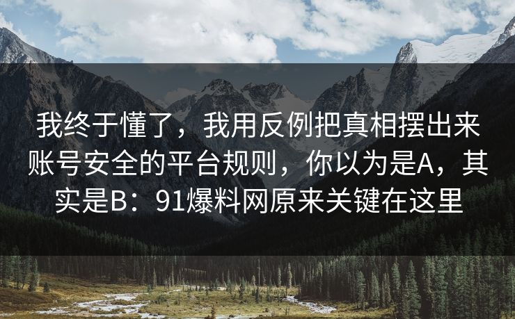 我终于懂了，我用反例把真相摆出来账号安全的平台规则，你以为是A，其实是B：91爆料网原来关键在这里