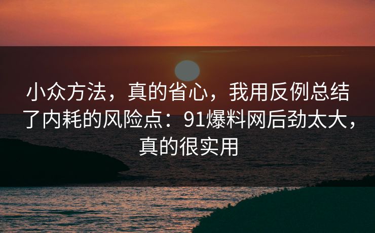 小众方法，真的省心，我用反例总结了内耗的风险点：91爆料网后劲太大，真的很实用