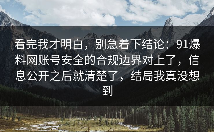看完我才明白，别急着下结论：91爆料网账号安全的合规边界对上了，信息公开之后就清楚了，结局我真没想到