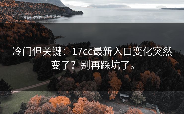 冷门但关键：17cc最新入口变化突然变了？别再踩坑了。