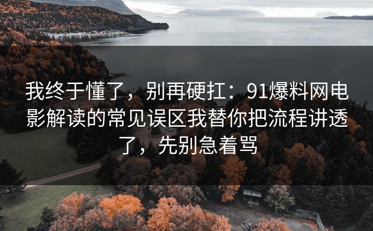 我终于懂了，别再硬扛：91爆料网电影解读的常见误区我替你把流程讲透了，先别急着骂