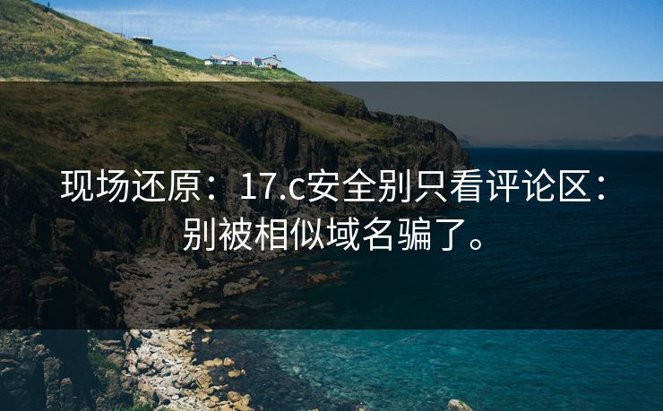 现场还原：17.c安全别只看评论区：别被相似域名骗了。