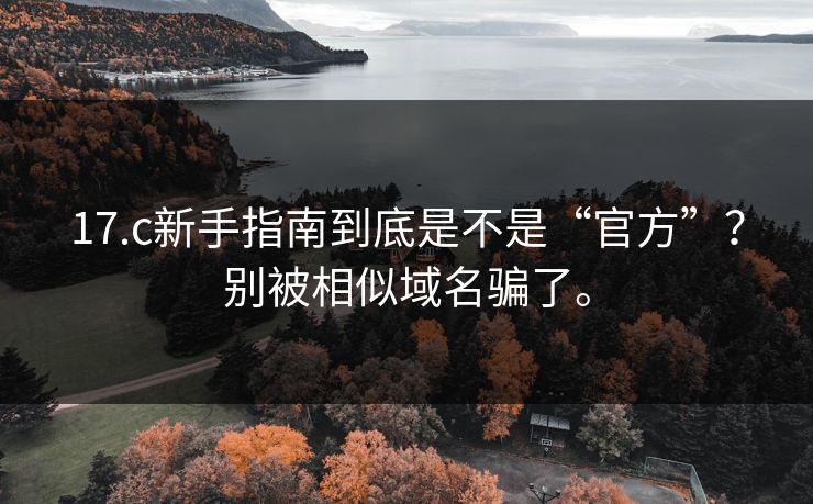 17.c新手指南到底是不是“官方”？别被相似域名骗了。