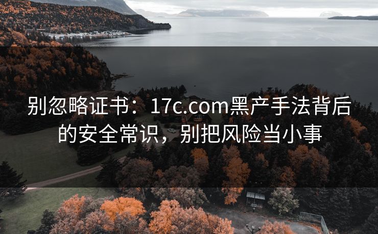别忽略证书:17c.com黑产手法背后的安全常识,别把风险当小事 别忽略证书:17c.com黑产手法背后的安全常识,别把风险当小事