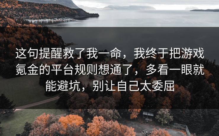 这句提醒救了我一命,我终于把游戏氪金的平台规则想通了,多看一眼就能避坑,别让自己太委屈 这句提醒救了我一命,我终于把游戏氪金的平台规则想通了,多看一眼就能避坑,别让自己太委屈